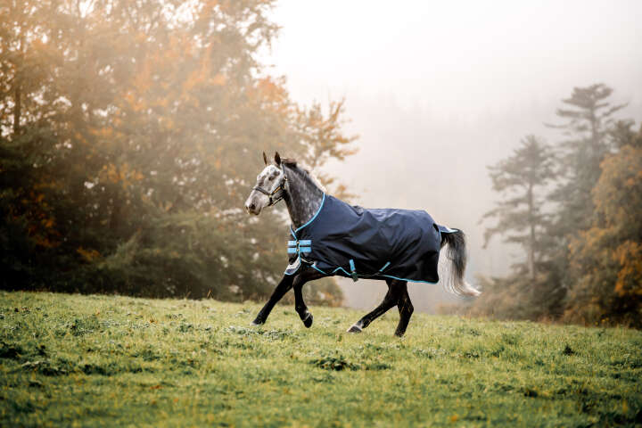 Horseware Outdoordecke Bravo 12 Turnout 50 g Horseware Outdoordecke Bravo 12 Turnout 50 g